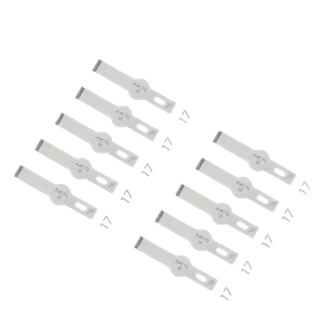 Navajas para raspar QianLi 012 iHilt n.17 (10 pzas)