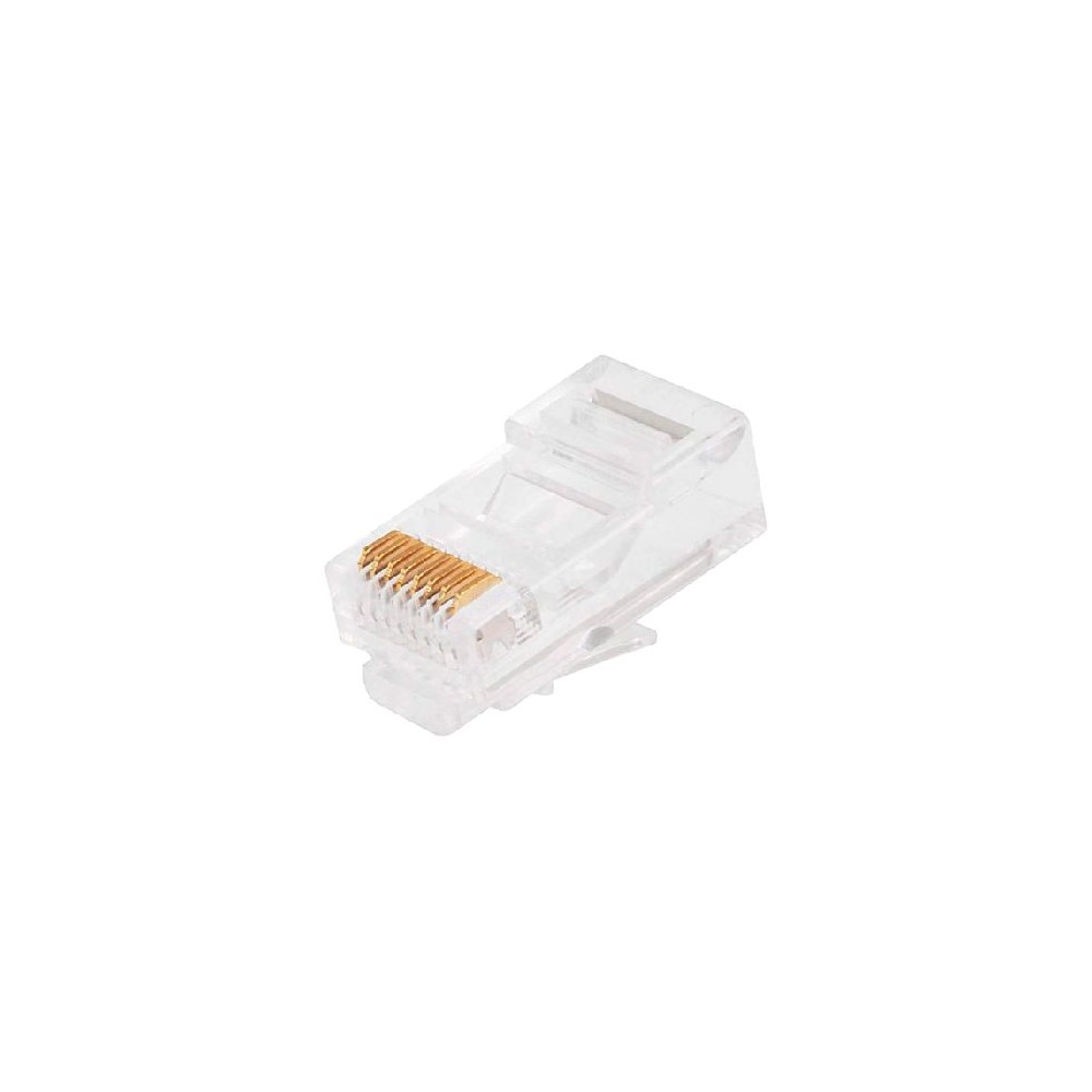 Plug RJ45