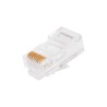 Plug RJ45